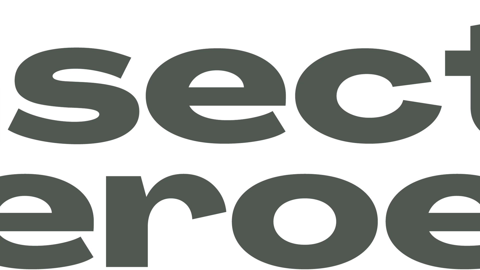 Insect Heroes Nederland