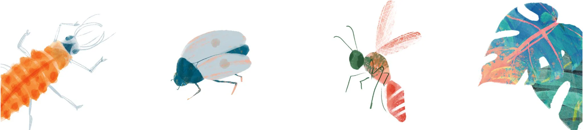 Natuurlijke Kracht Tegen Ongedierte