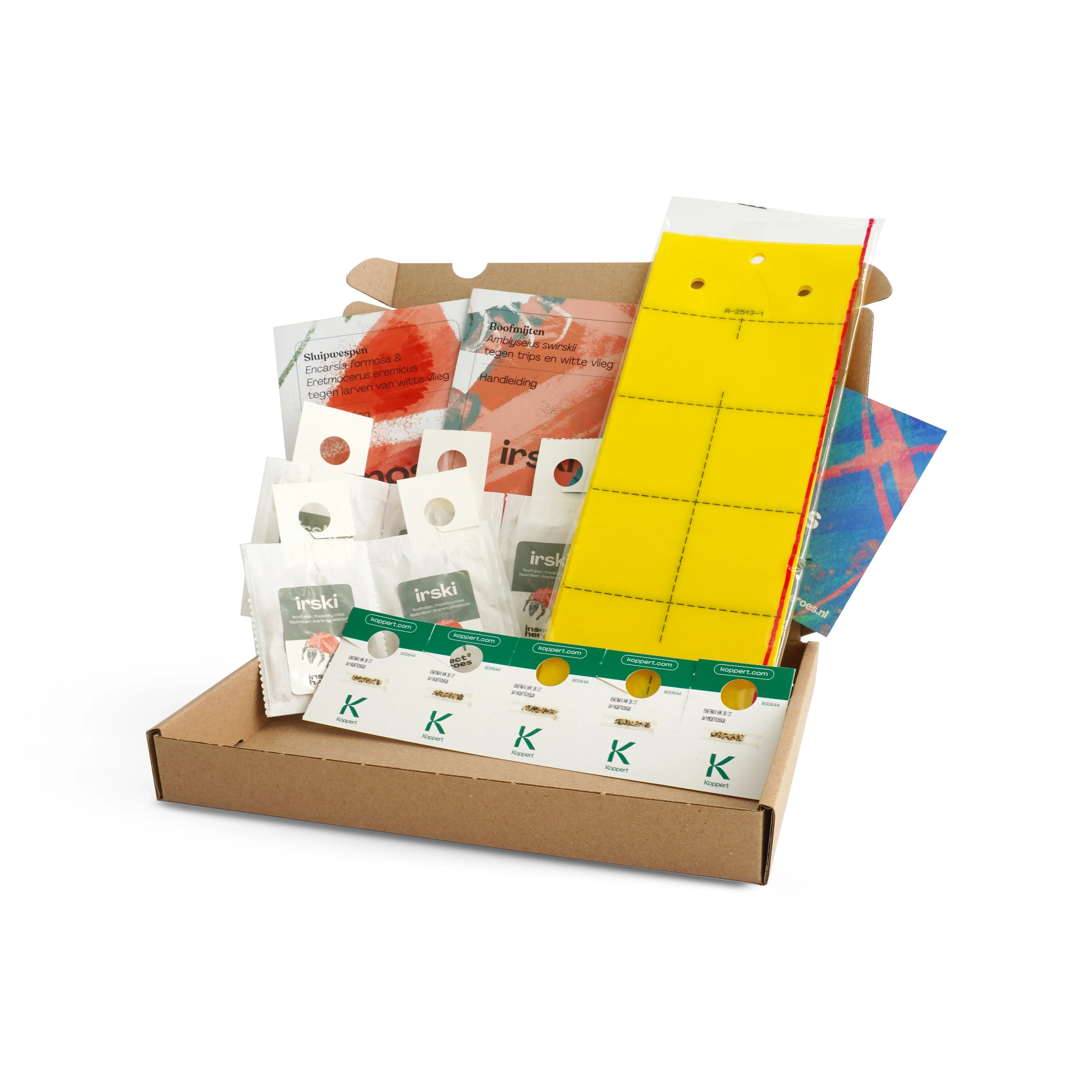 Miniatuur 1