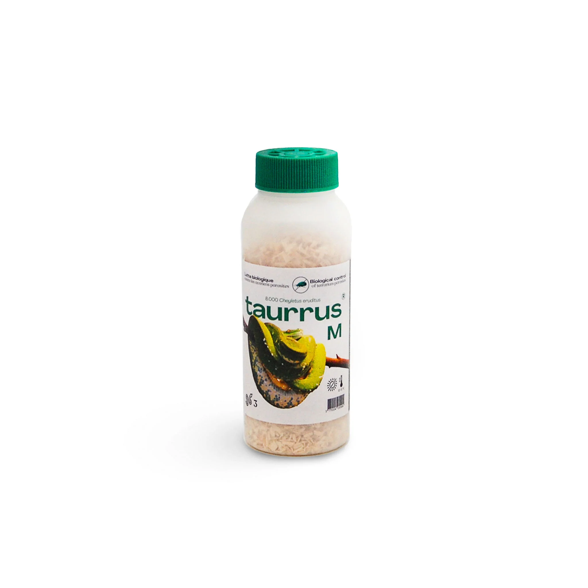 Miniatuur 2